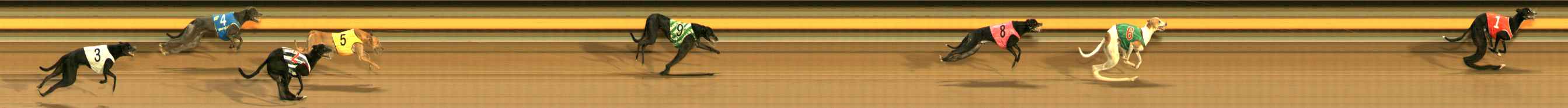 Photo finish for Ballarat Race 5