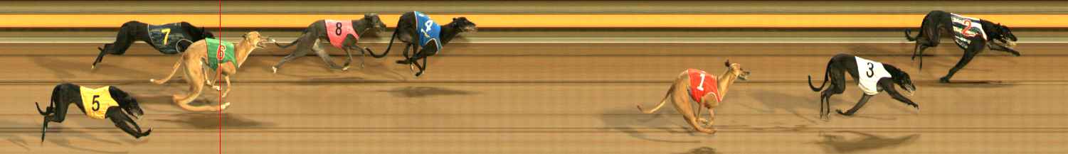 Photo finish for Ballarat Race 6