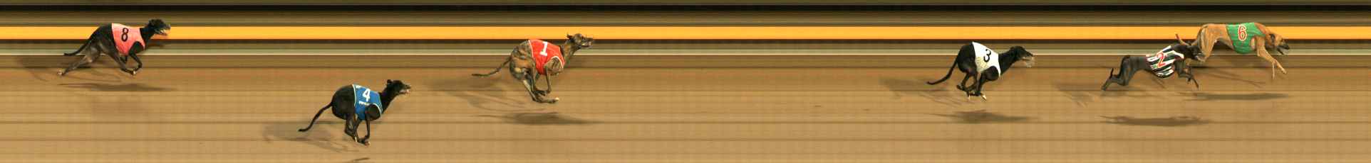 Photo finish for Ballarat Race 8