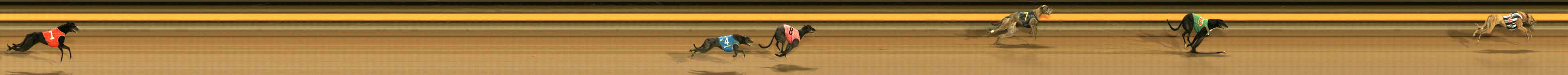 Photo finish for Ballarat Race 9