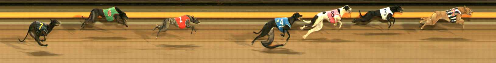 Photo finish for Ballarat Race 10