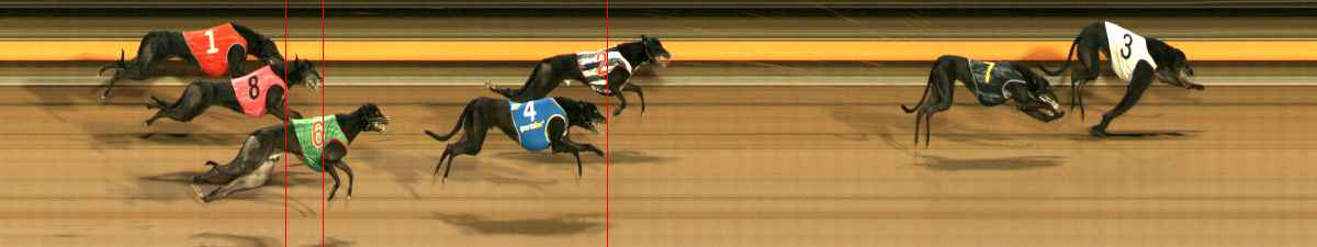 Photo finish for Ballarat Race 12