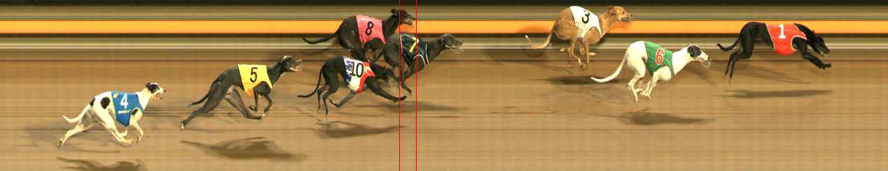 Photo finish for Ballarat Race 6