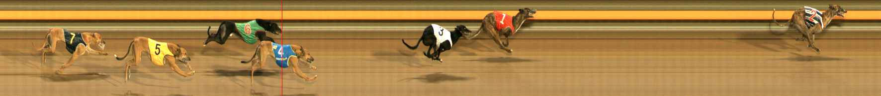 Photo finish for Ballarat Race 10