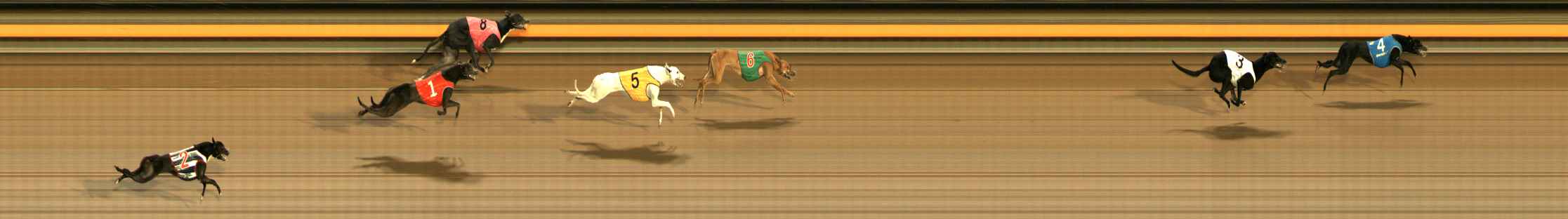 Photo finish for Ballarat Race 2