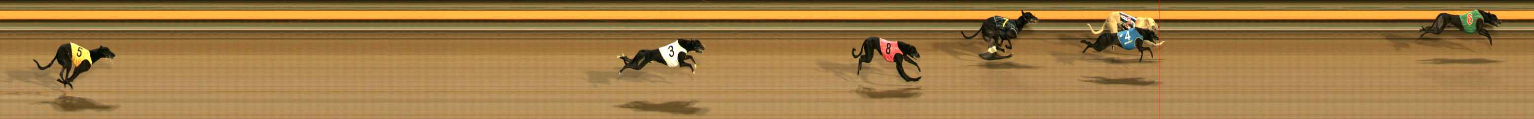 Photo finish for Ballarat Race 3