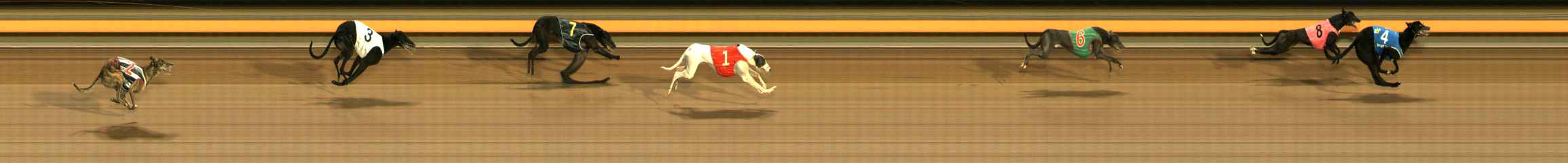 Photo finish for Ballarat Race 6