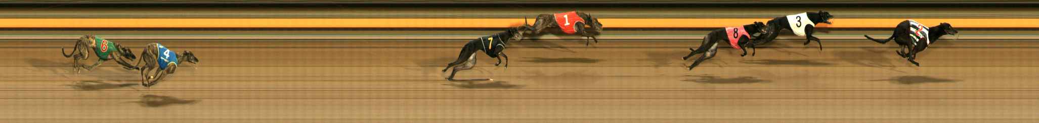 Photo finish for Ballarat Race 7