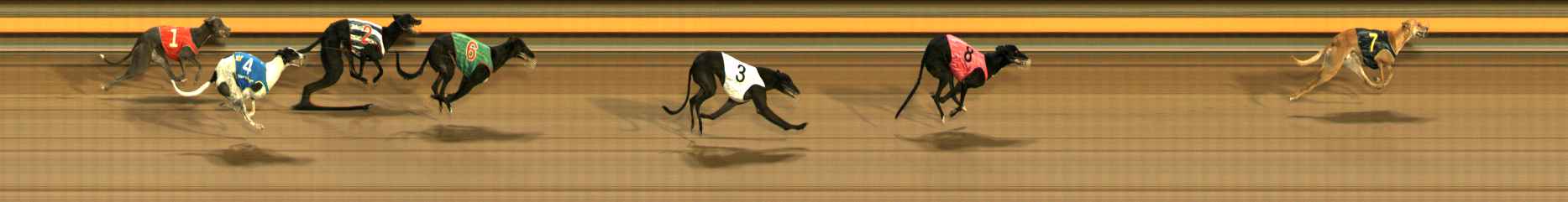 Photo finish for Ballarat Race 8