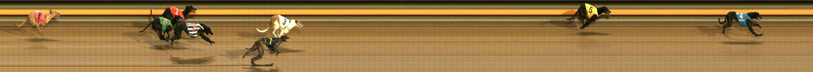 Photo finish for Ballarat Race 11