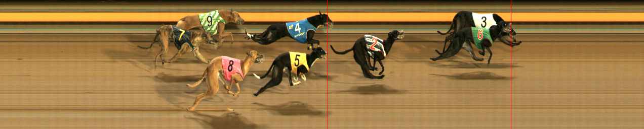 Photo finish for Ballarat Race 13