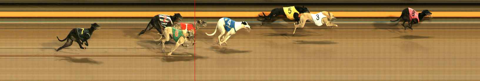Photo finish for Ballarat Race 14