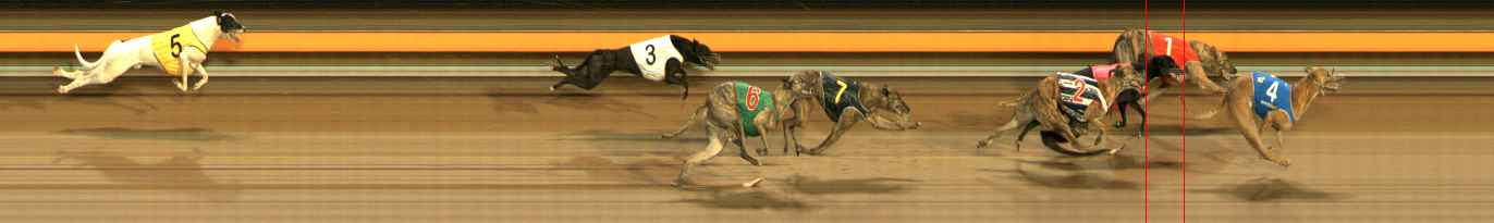 Photo finish for Ballarat Race 5