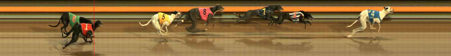 Photo finish for Ballarat Race 6