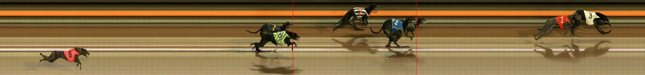 Photo finish for Ballarat Race 7