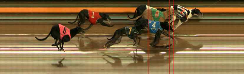 Photo finish for Ballarat Race 8