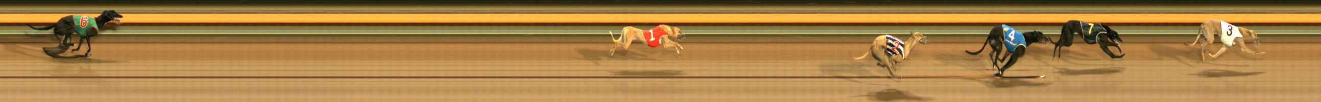 Photo finish for Ballarat Race 1
