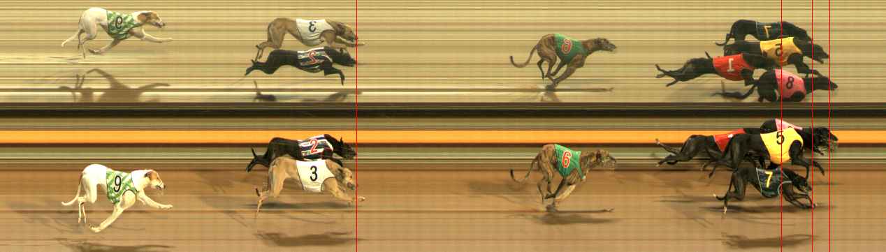 Photo finish for Ballarat Race 3