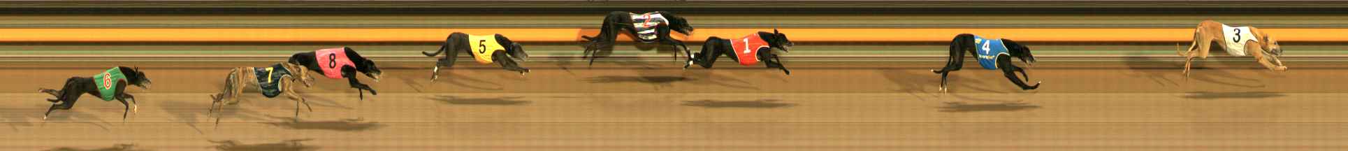 Photo finish for Ballarat Race 8