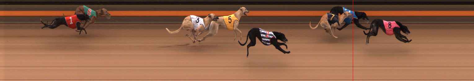Photo finish for Ballarat Race 1