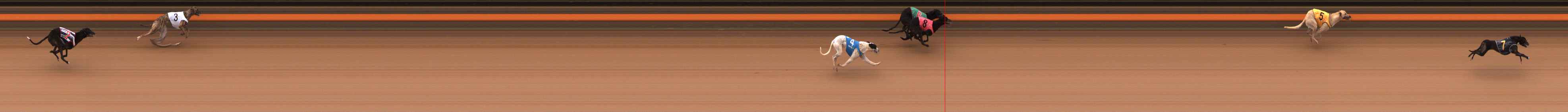 Photo finish for Ballarat Race 2