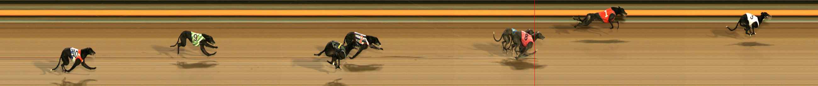 Photo finish for Ballarat Race 12