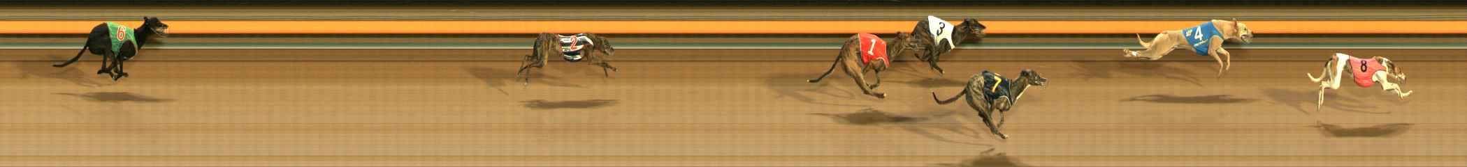 Photo finish for Ballarat Race 2