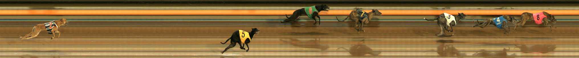 Photo finish for Ballarat Race 4