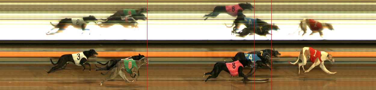 Photo finish for Ballarat Race 6