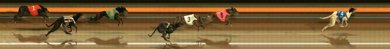 Photo finish for Ballarat Race 7