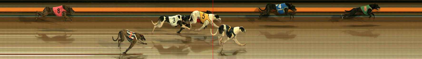 Photo finish for Ballarat Race 8