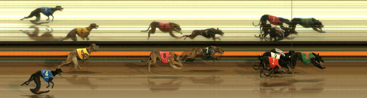 Photo finish for Ballarat Race 10
