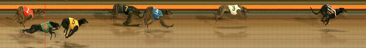 Photo finish for Ballarat Race 11