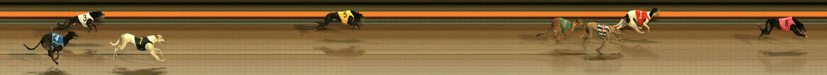 Photo finish for Ballarat Race 13
