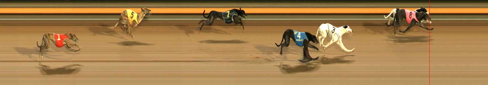 Photo finish for Ballarat Race 5