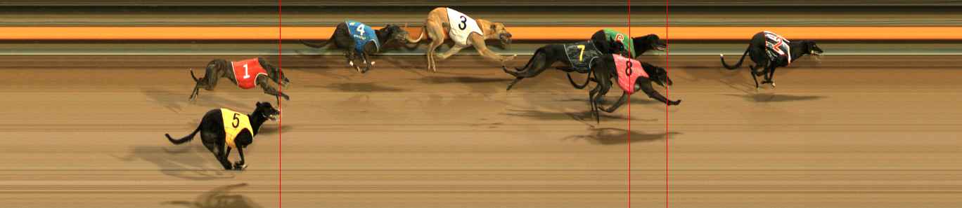 Photo finish for Ballarat Race 6