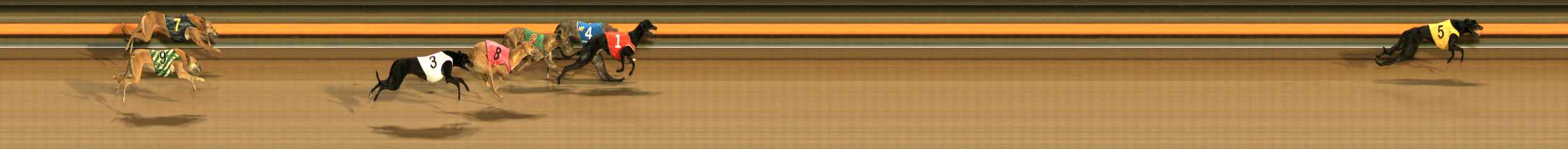Photo finish for Ballarat Race 8