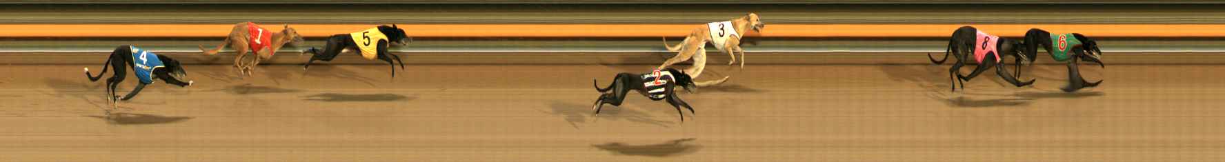 Photo finish for Ballarat Race 9