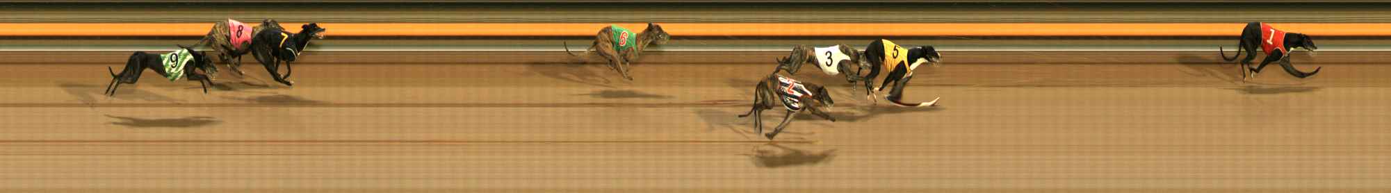 Photo finish for Ballarat Race 10