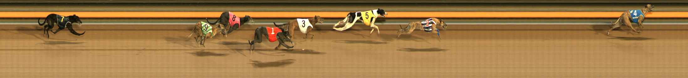 Photo finish for Ballarat Race 11