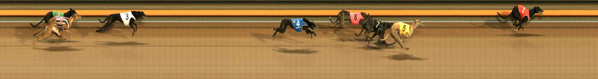 Photo finish for Ballarat Race 12