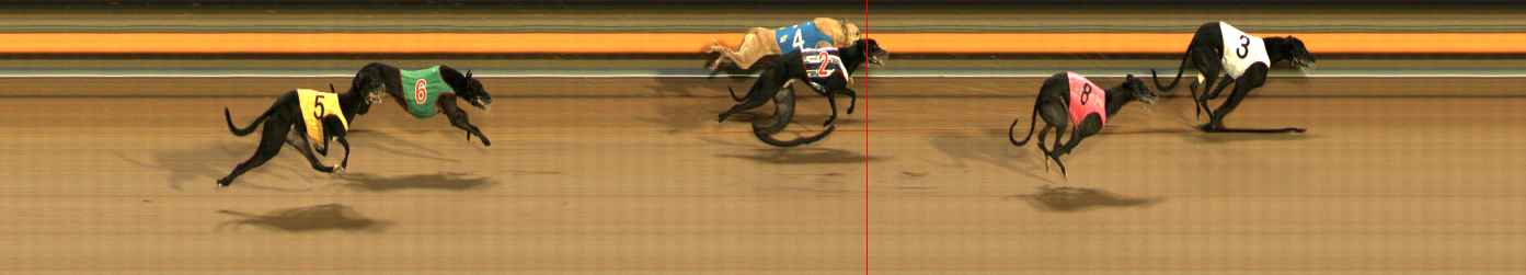 Photo finish for Ballarat Race 13