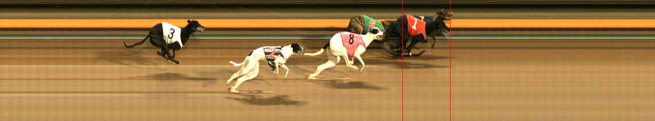 Photo finish for Ballarat Race 1