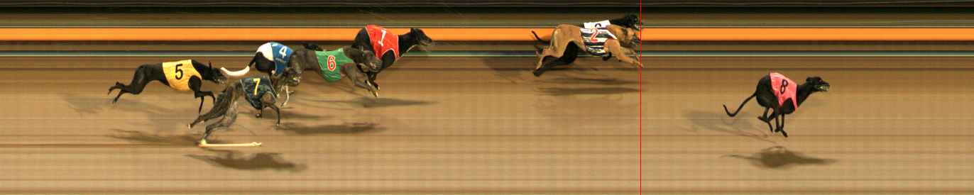 Photo finish for Ballarat Race 5