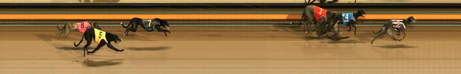 Photo finish for Ballarat Race 6