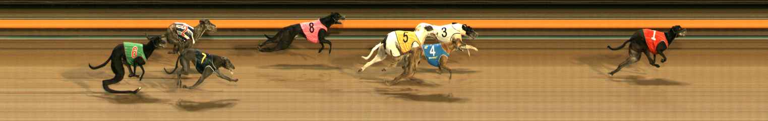 Photo finish for Ballarat Race 7