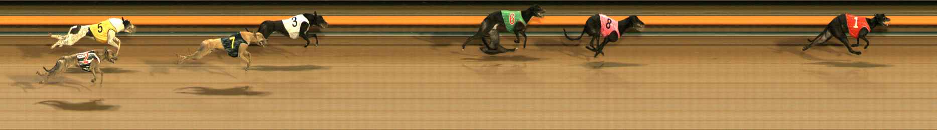Photo finish for Ballarat Race 8