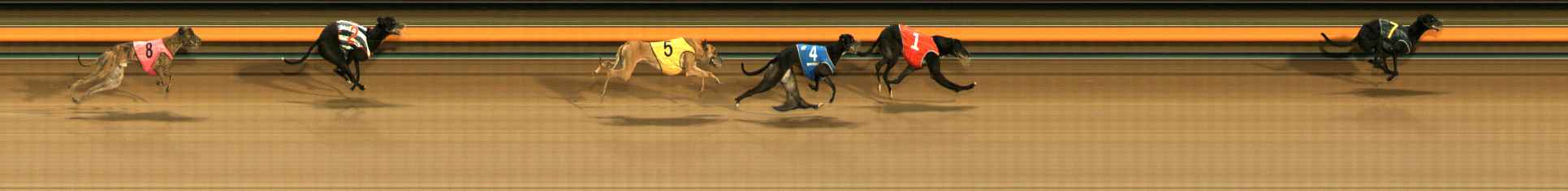 Photo finish for Ballarat Race 9