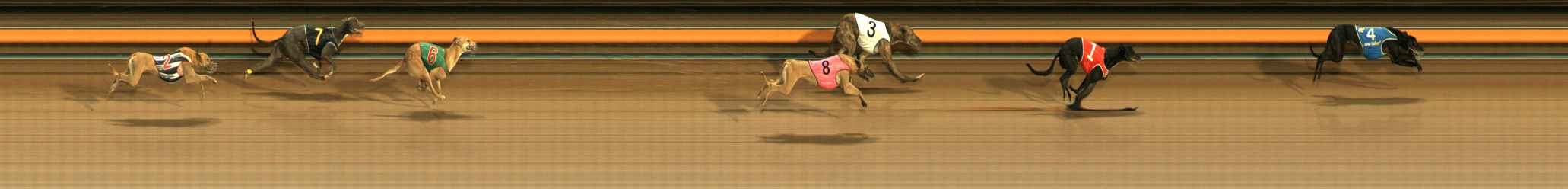 Photo finish for Ballarat Race 11