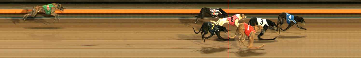 Photo finish for Ballarat Race 12